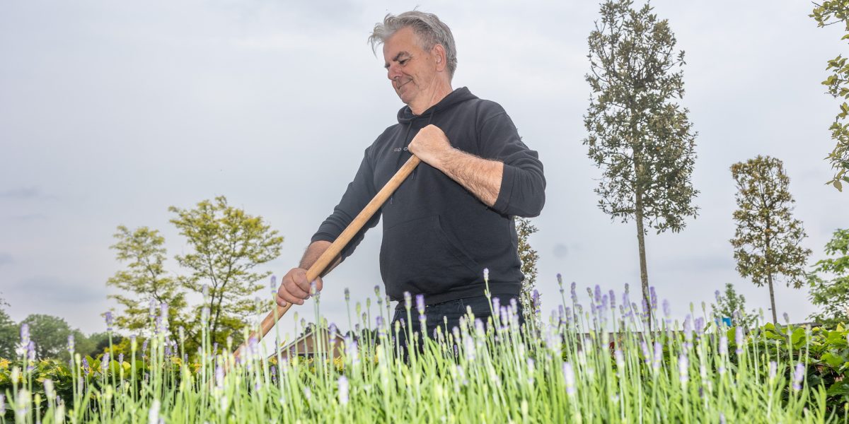 Goudgediende gepensioneerde aan het werk